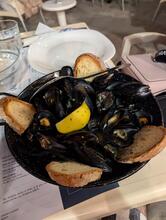 Cavalluccio Marino