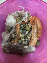 Pescheria Il Grottino da Lorenzo