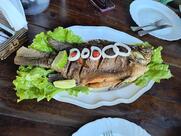 Bruno Lanches