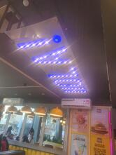 The Burger company