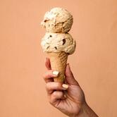 Minus Twelve Ice Creams