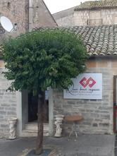 Quei Bravi Ragazzi