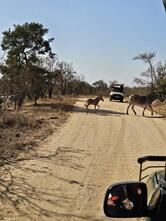 Sabi River Sun Resort
