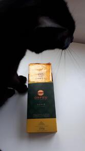 Orfeu Café