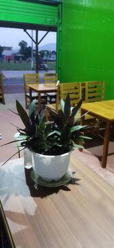 Temptation Restaurant Kakching