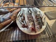 AVIS Blutspendeverein - Restaurant