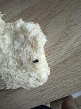 Banette Artisan-Boulanger