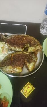 Saish bar and restaurant