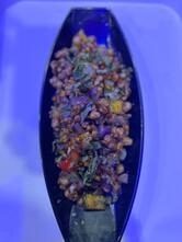 Spice City Multicuisine Restaurant Best Family Bar cum Restaurant in Maheshtala