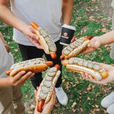 Stardogs