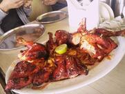 Great Sher E Punjab Family Restaurant (SP)