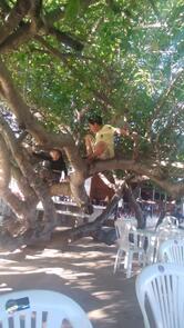 Bar e restaurante São marcos