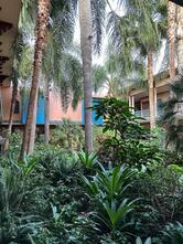 Hôtel Villa Mandarine