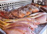 AdiChicken and fish Corner