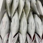 Pescheria Friggitoria Patanè