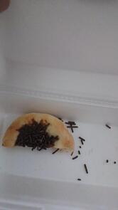 Alo pizza