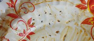 BRIYANI PLAZZA