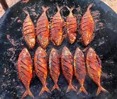 Friend's fish tawa fry Gubbalala main road