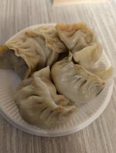 Ravioleria Zhang