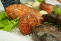 Adriatica Pescheria con Cucina