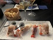 Vitium Vino & Cose buone