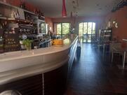 Café Mozart