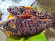 Fish fry Palani Murugan Hotel