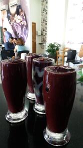 Açaí da Terra
