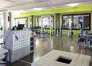 FIT Palestre