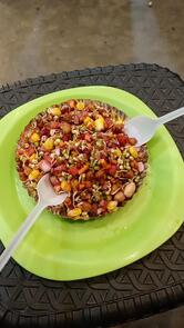 Ankurit diet ashoknagar