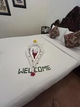 Molly's Retreat