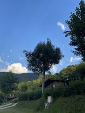 Ecoday Camping - Il Castagno