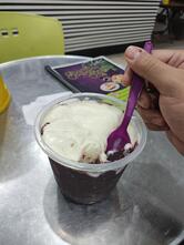 Açaí da Terra