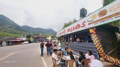Gulan Thattukada