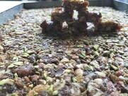 Murlidhar Sweets