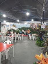 Feira da Enseada