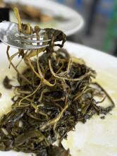 Origano Trattoria