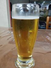 Bolhas Burguer e Pizzaria Jaraguá