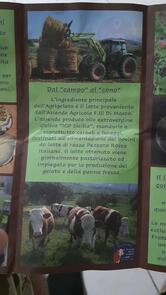 L'Agrigelateria