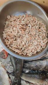 Abdul Fish Traders - Anand