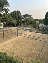 Wolf Park