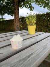 Fleur de glace artisan glacier Modave Huy