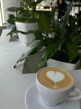 Cup-Cup