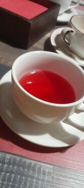PastaCup