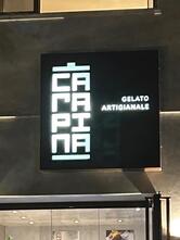 Gelateria Carapina Fano