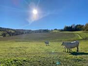 Agriturismo La Palazzina
