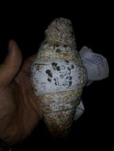 Spadpan