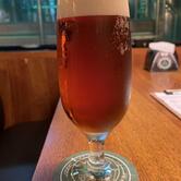 Cervejaria Cathedral - Fábrica Bar