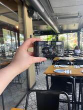 Sasson Bar