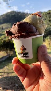 Sorveteria Eisland na Fazenda
